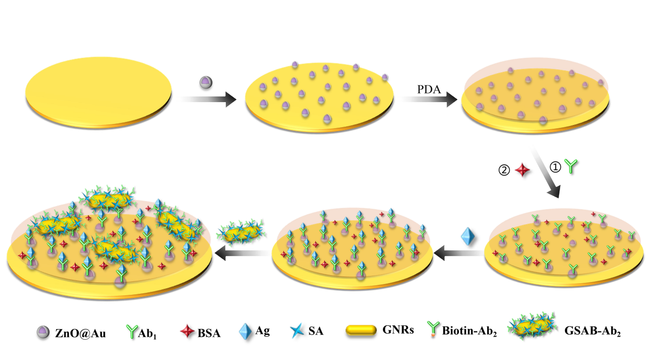 Graphical Abstract