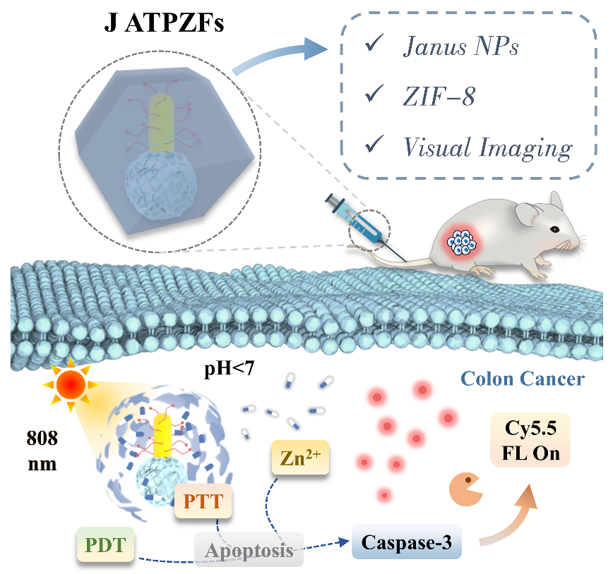 Graphical Abstract Graphical Abstract